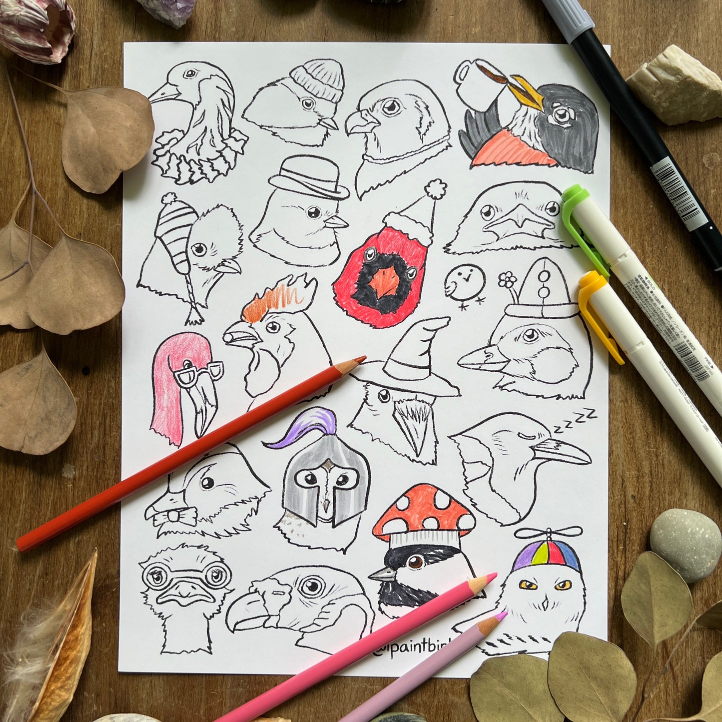 Birb Portraits: Part Two | Coloring Page