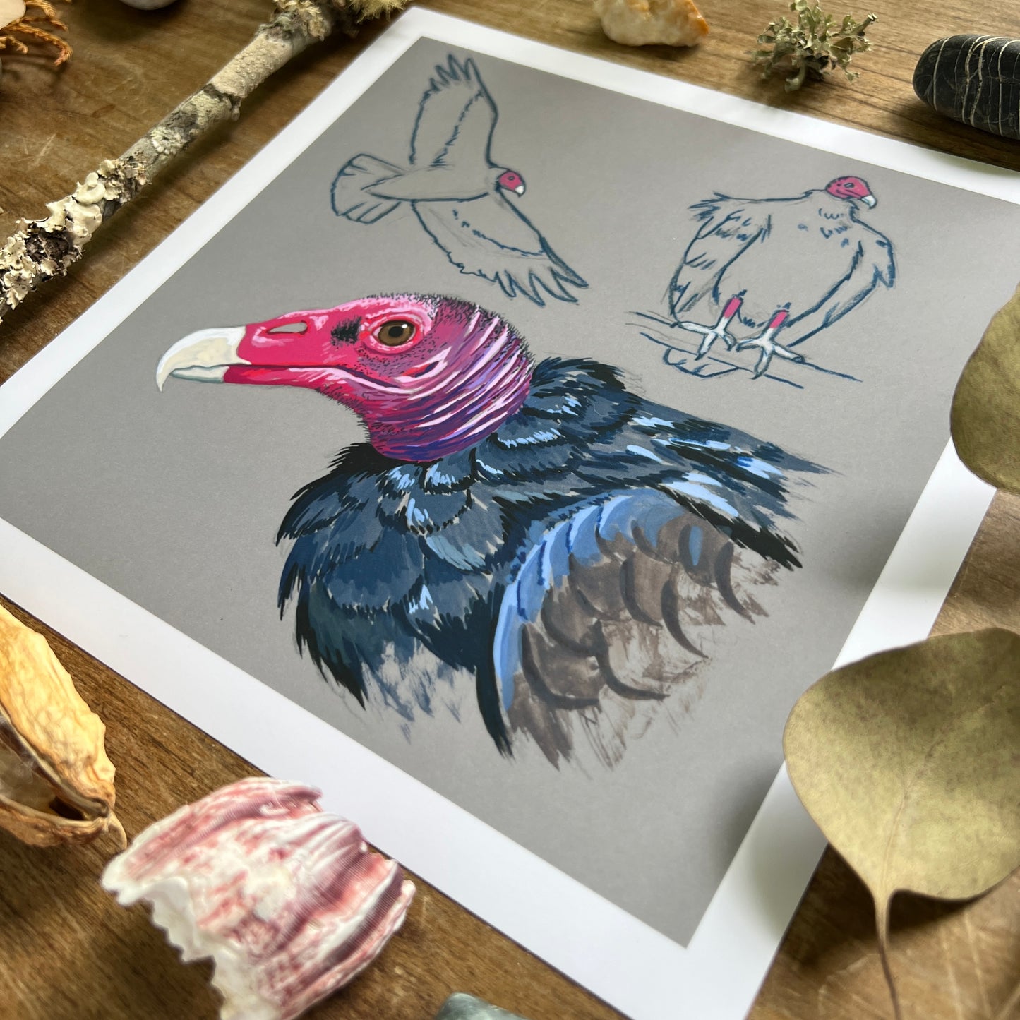 Vulture Studies | Art Print