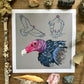 Vulture Studies | Art Print