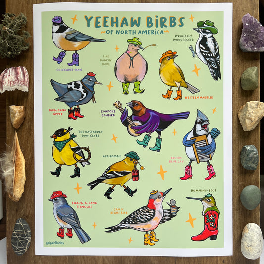 Yeehaw Birbs Guide: Poster Edition | Art Print