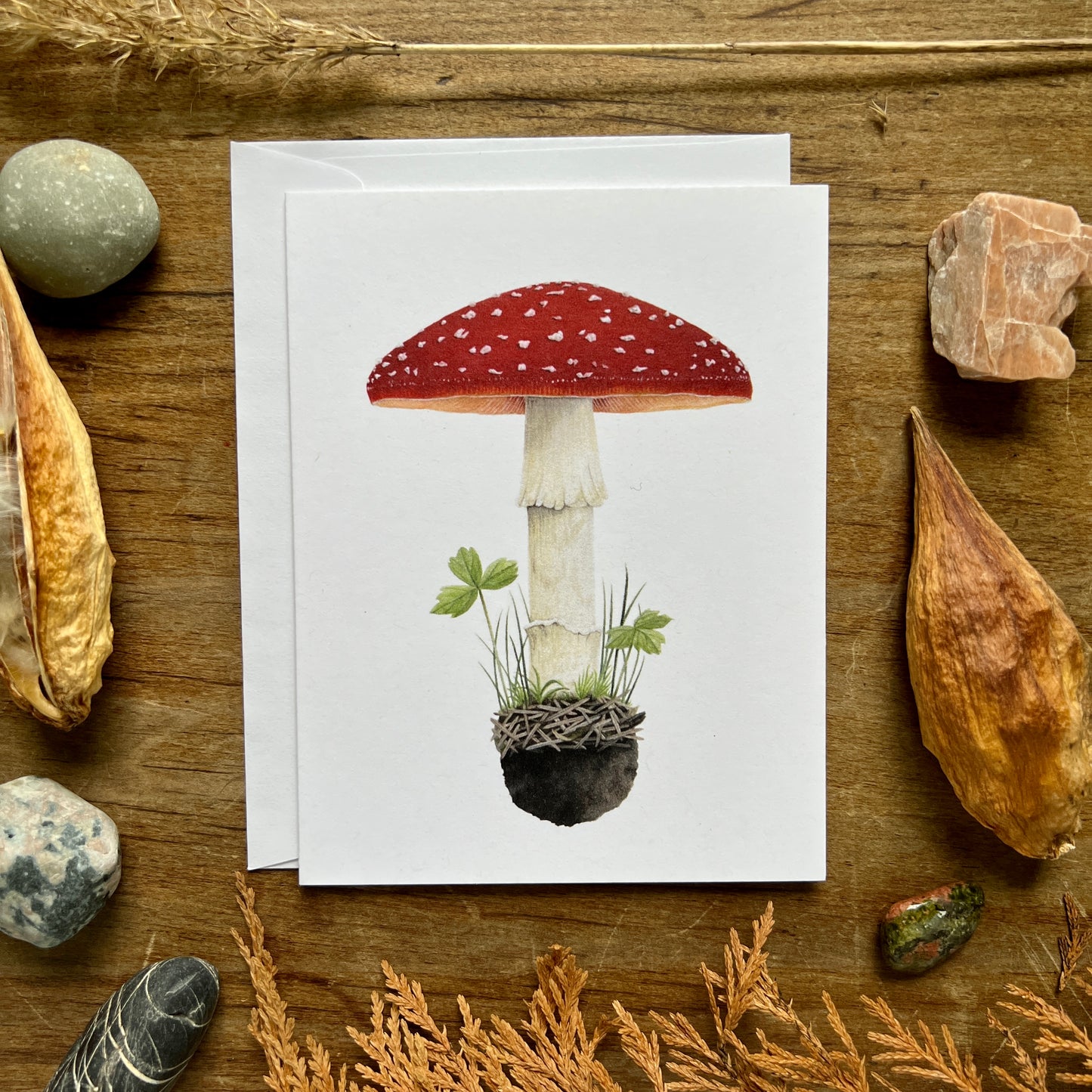 Mushroom Cards