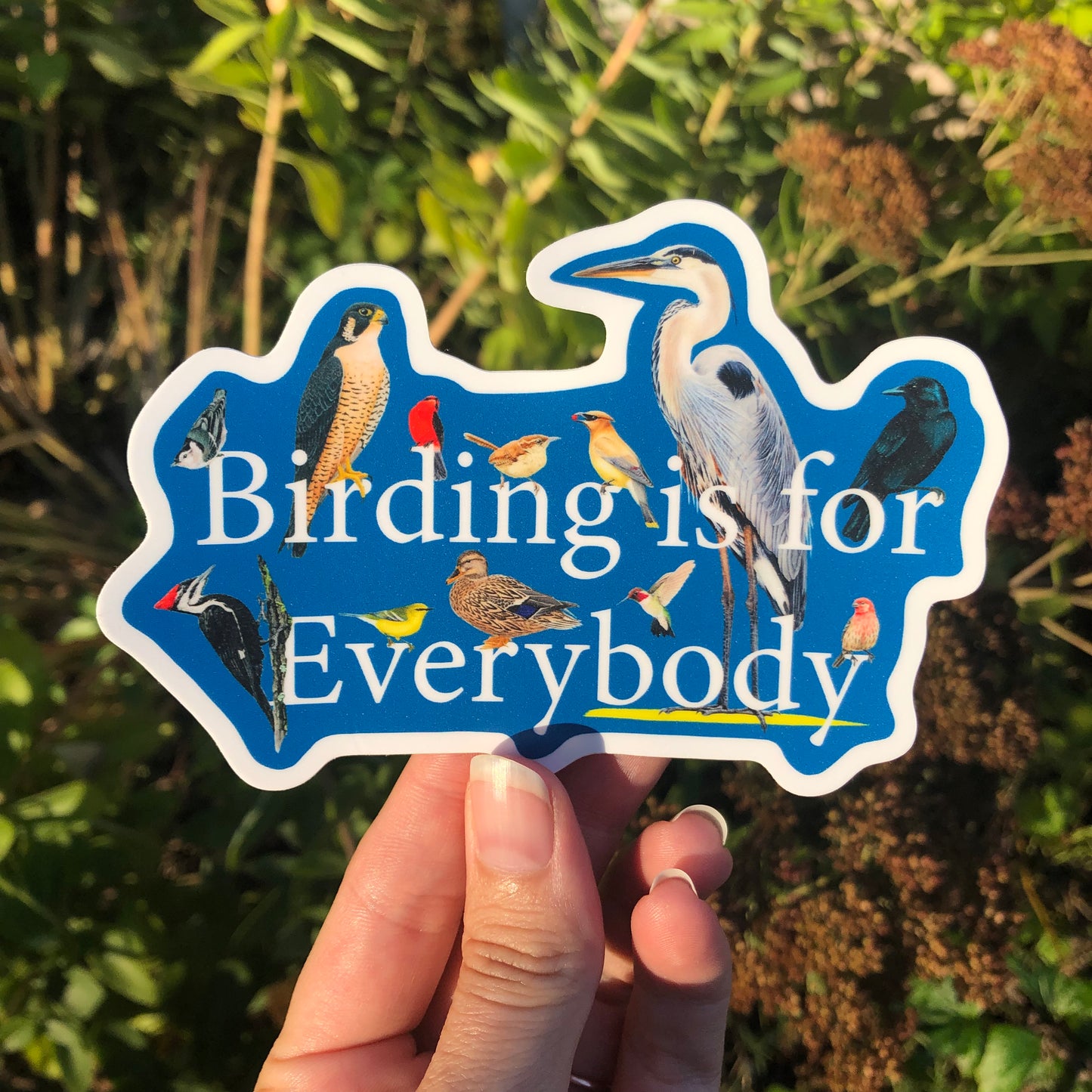 Birding is for Everybody | Birdability