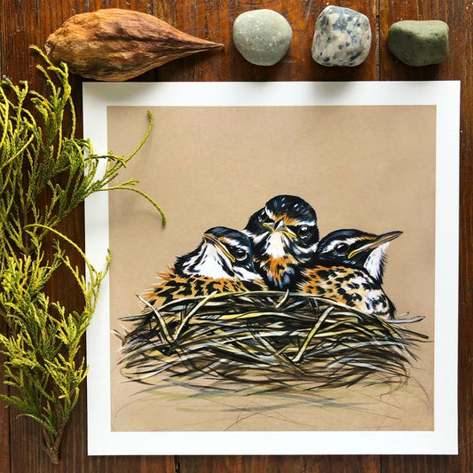 Baby Robins in the Nest | Art Print