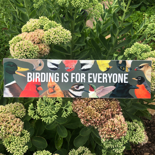 Birding is for Everyone | Bumper Sticker