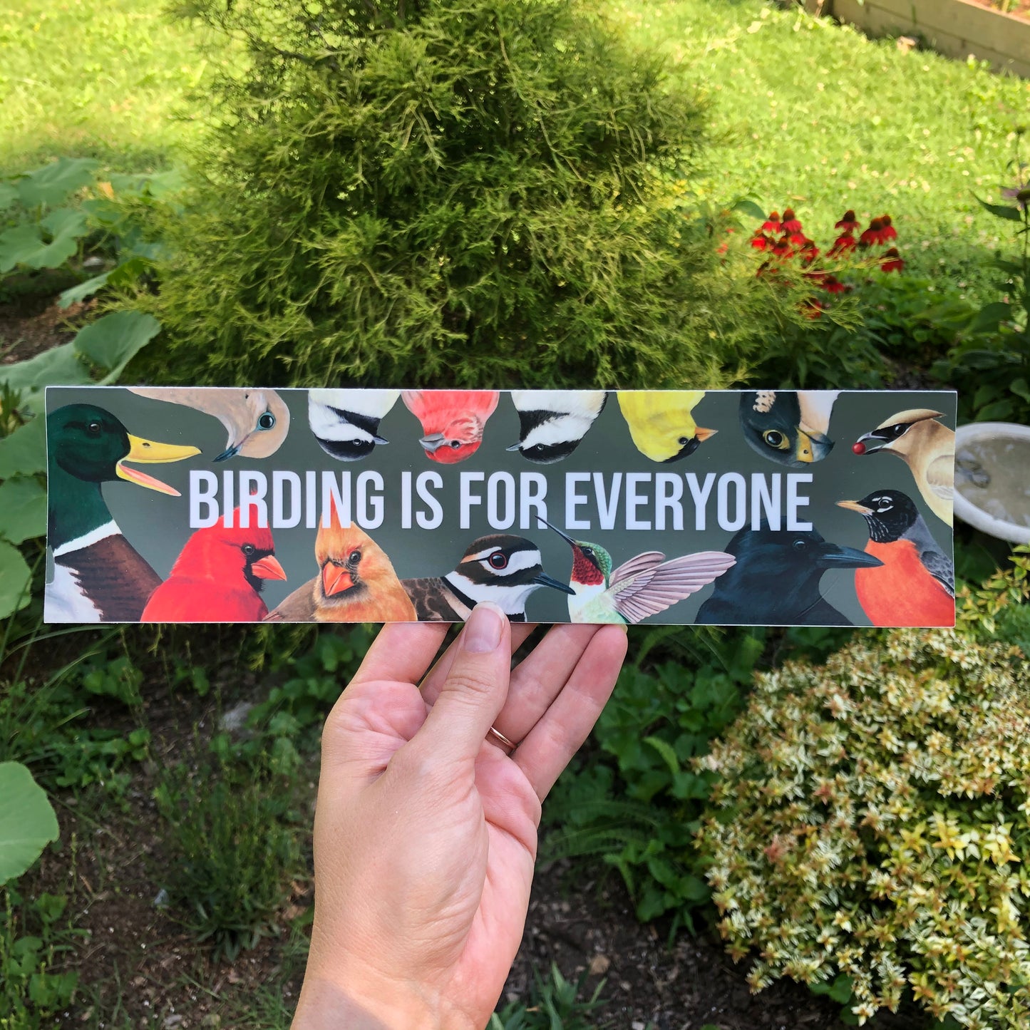 Birding is for Everyone | Bumper Sticker