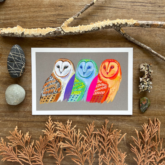 Chromatic Owls | Art Print