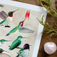 Hummingbirds of North America | Art Print