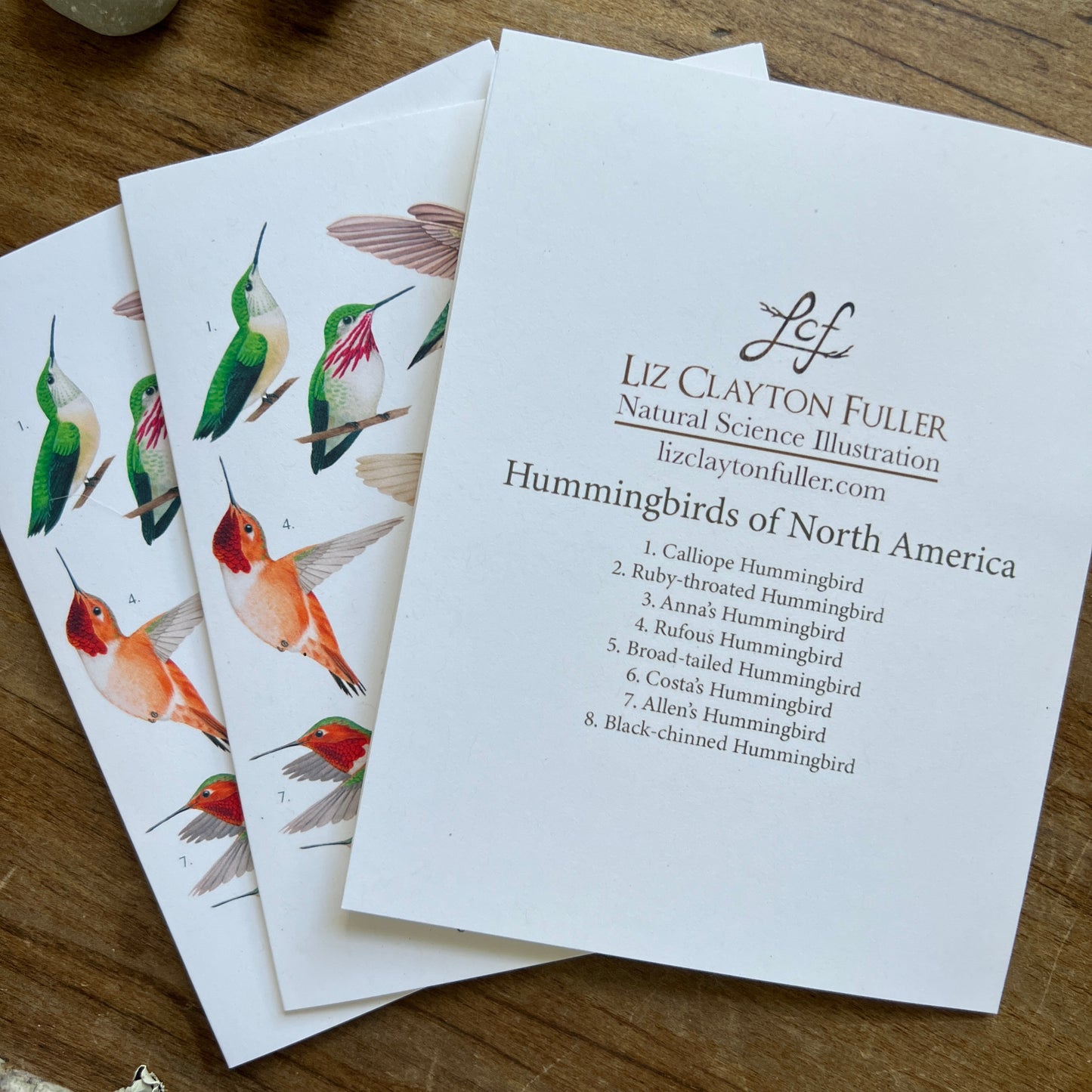 Hummingbirds of North America Notecard Three Pack