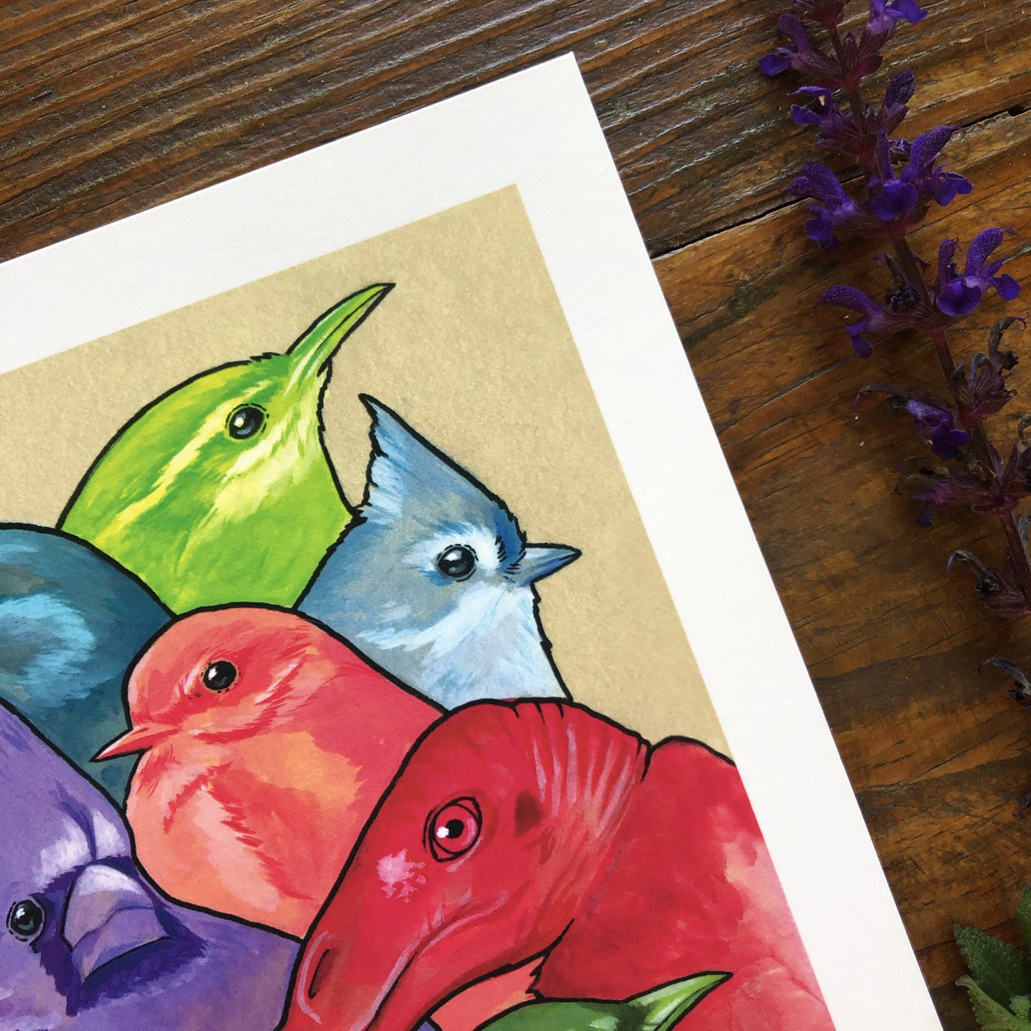 Rainbow of Birds | Art Print