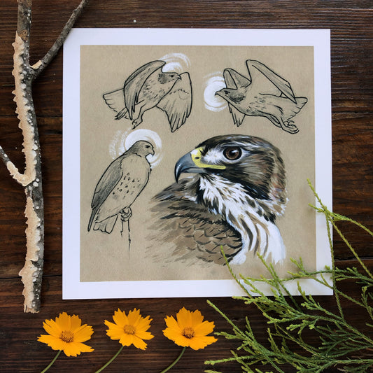 Red-tailed Hawk | Art Print
