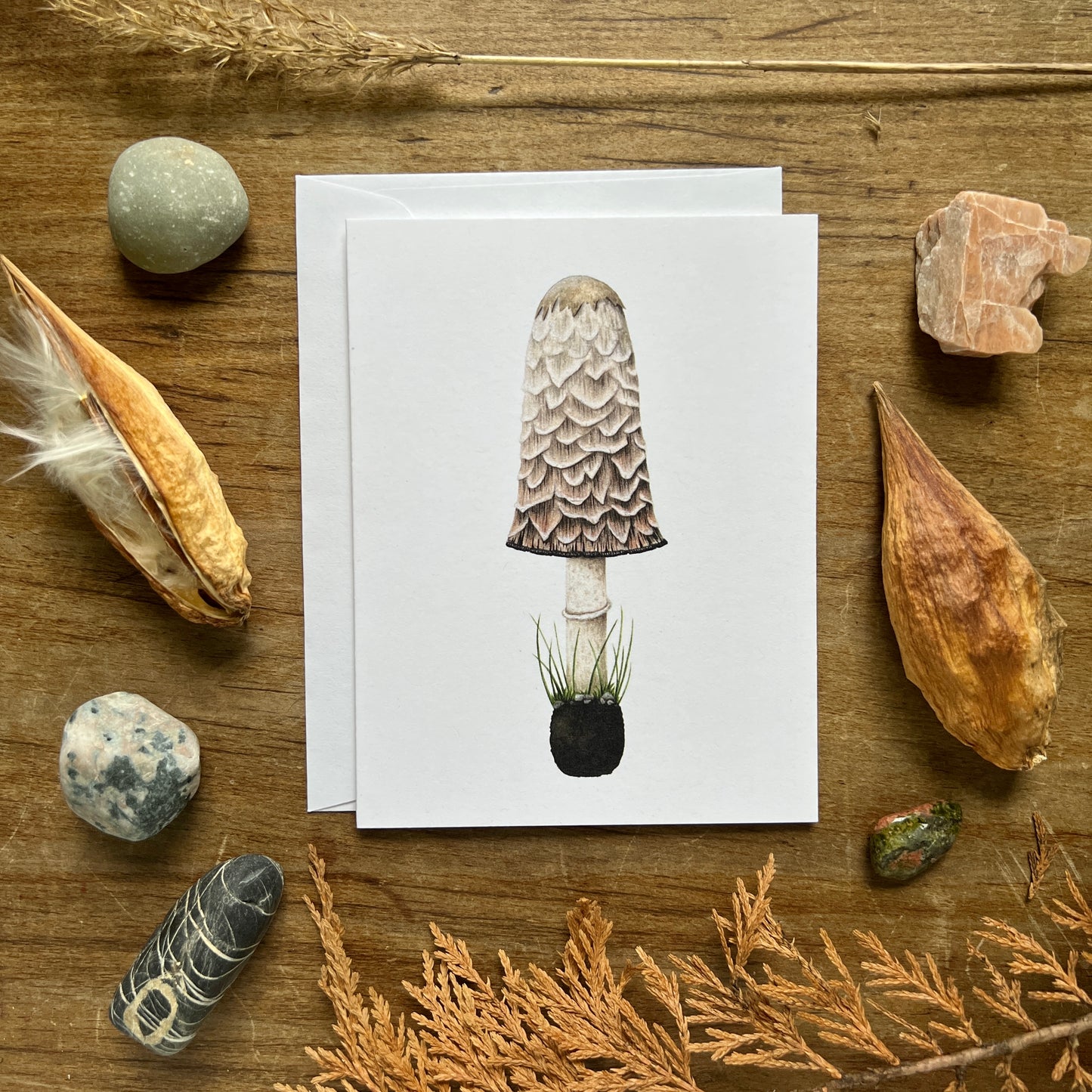 Mushroom Cards