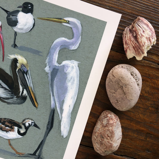 Shorebird Studies | Art Print
