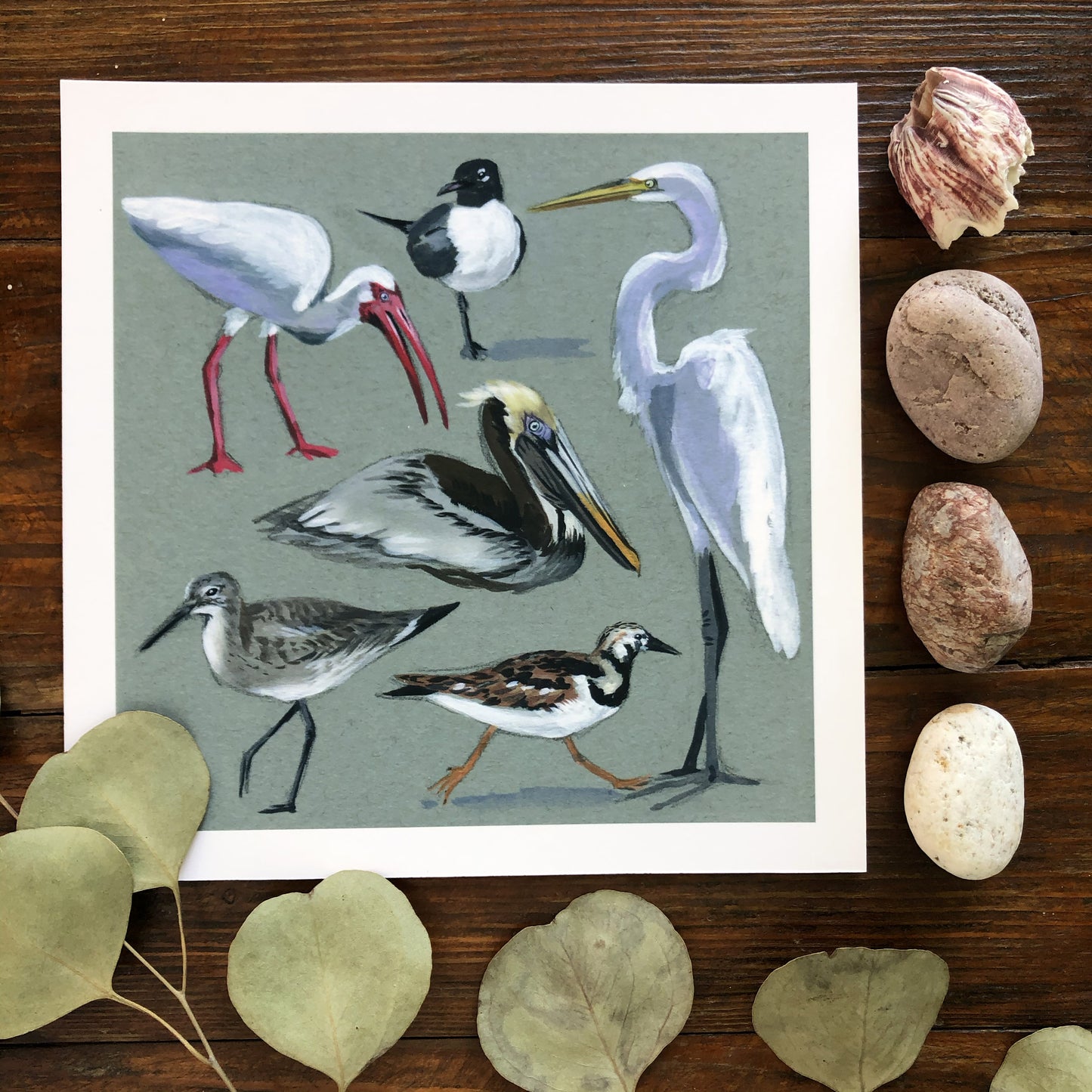 Shorebird Studies | Art Print