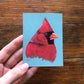 Northern Cardinal | Tiny Art Print