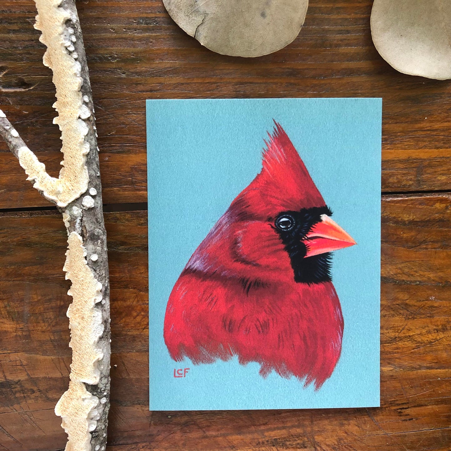 Northern Cardinal | Tiny Art Print