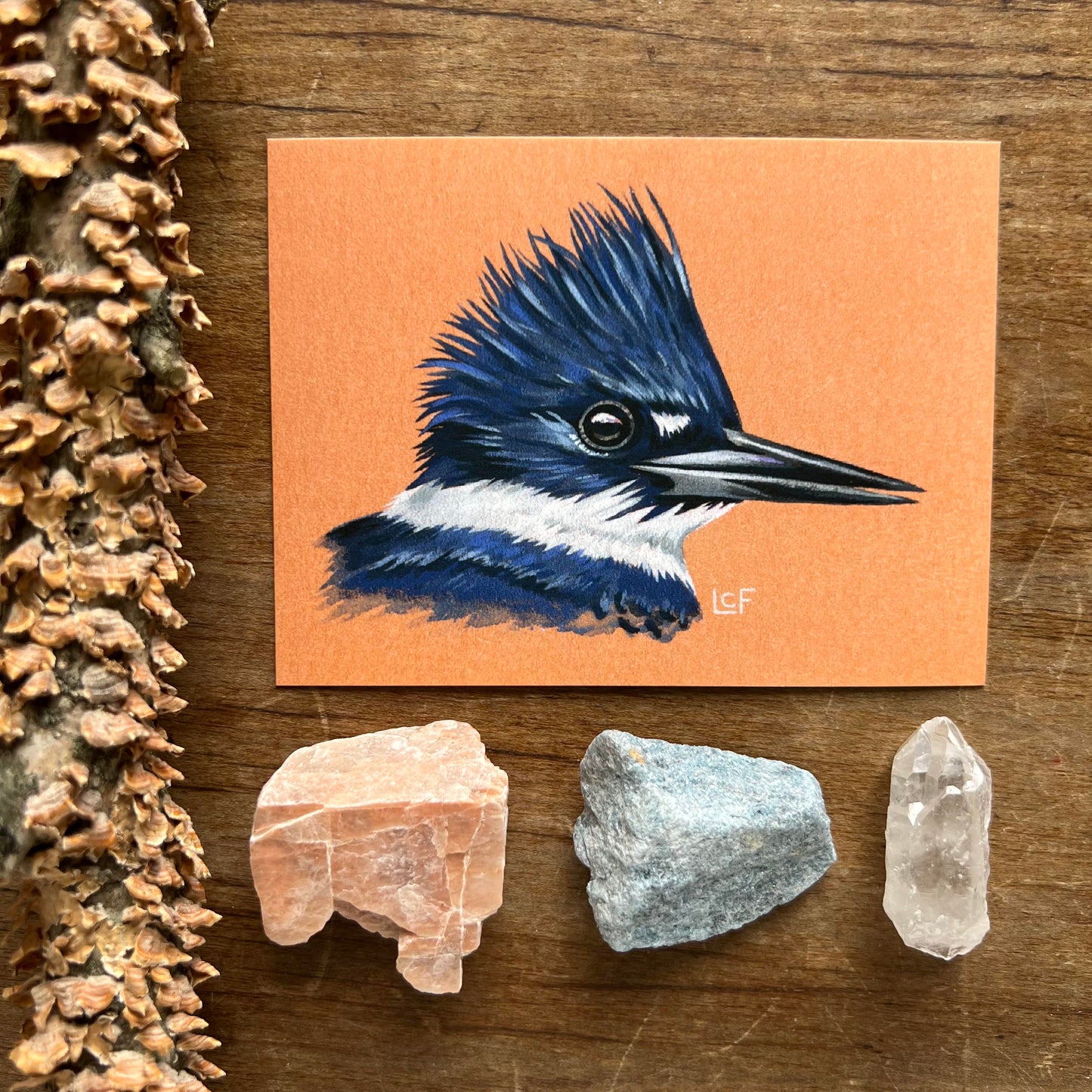 Belted Kingfisher | Tiny Art Print