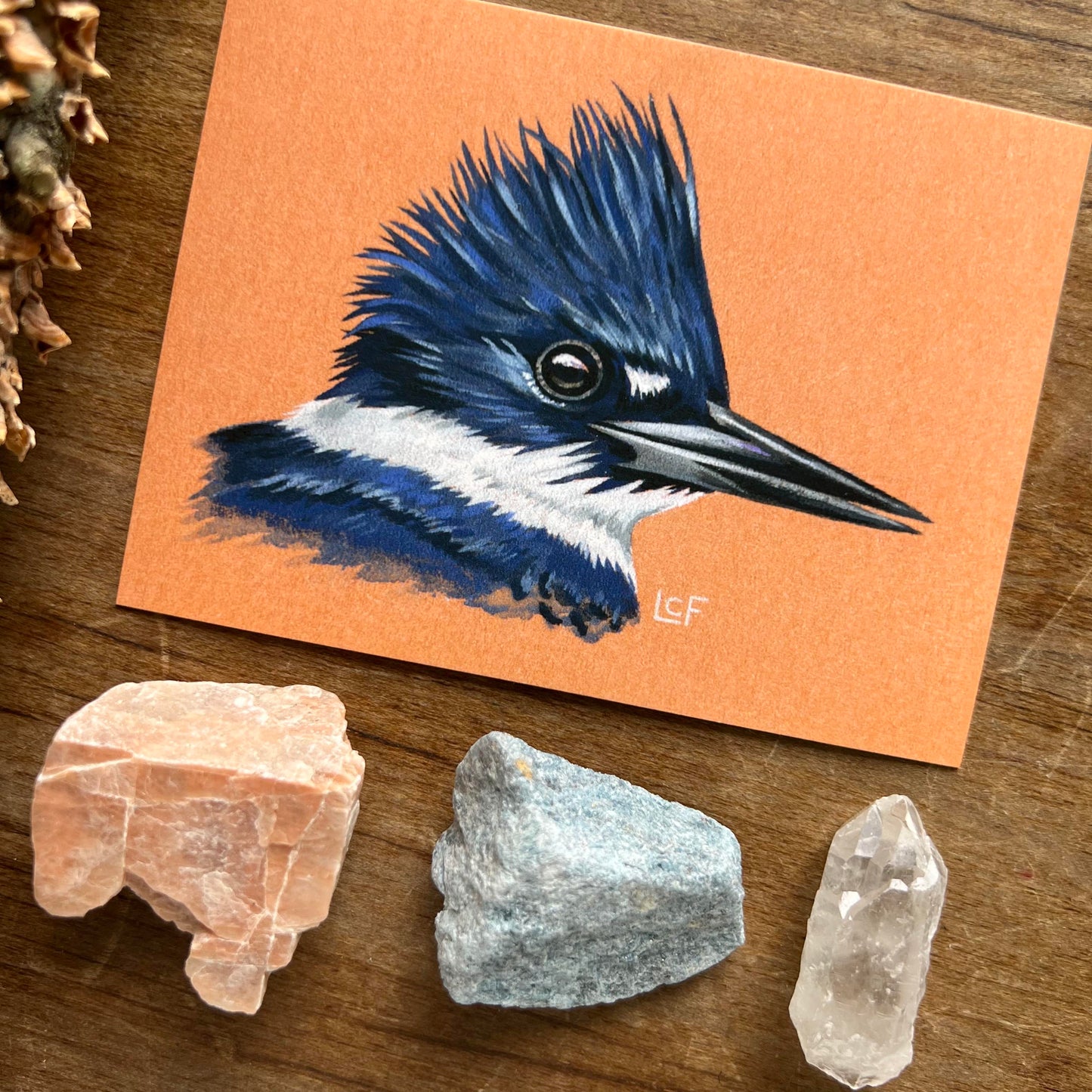 Belted Kingfisher | Tiny Art Print