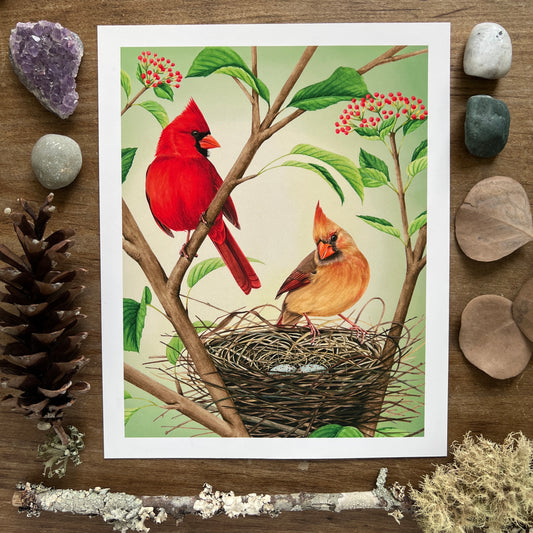 Northern Cardinals | Art Print