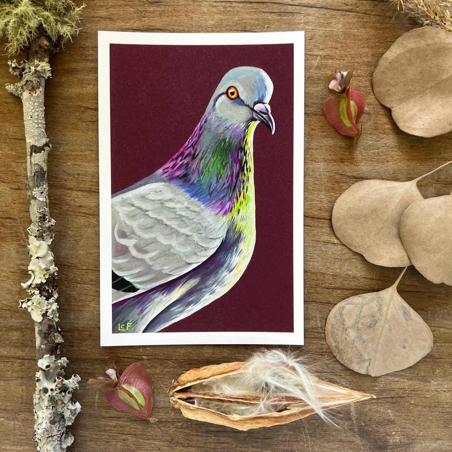 Pigeons are Beautiful | Art Print