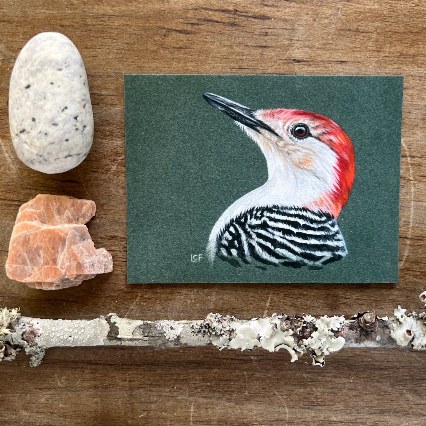 Red-Bellied Woodpecker | Tiny Art Print