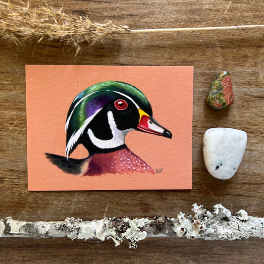 Wood Duck | Tiny Art Print