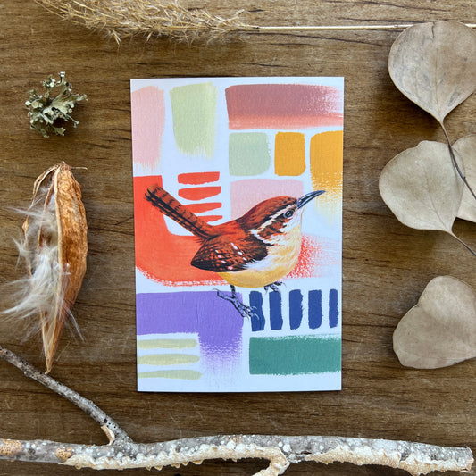 Colorful Wren | Postcard