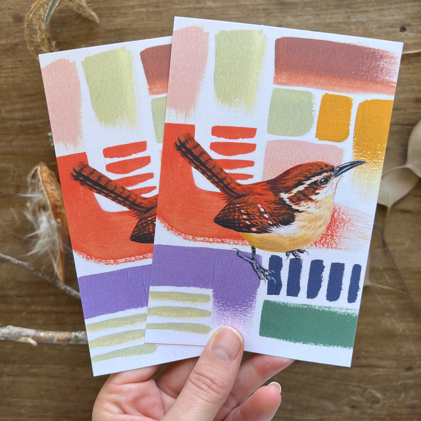 Colorful Wren | Postcard