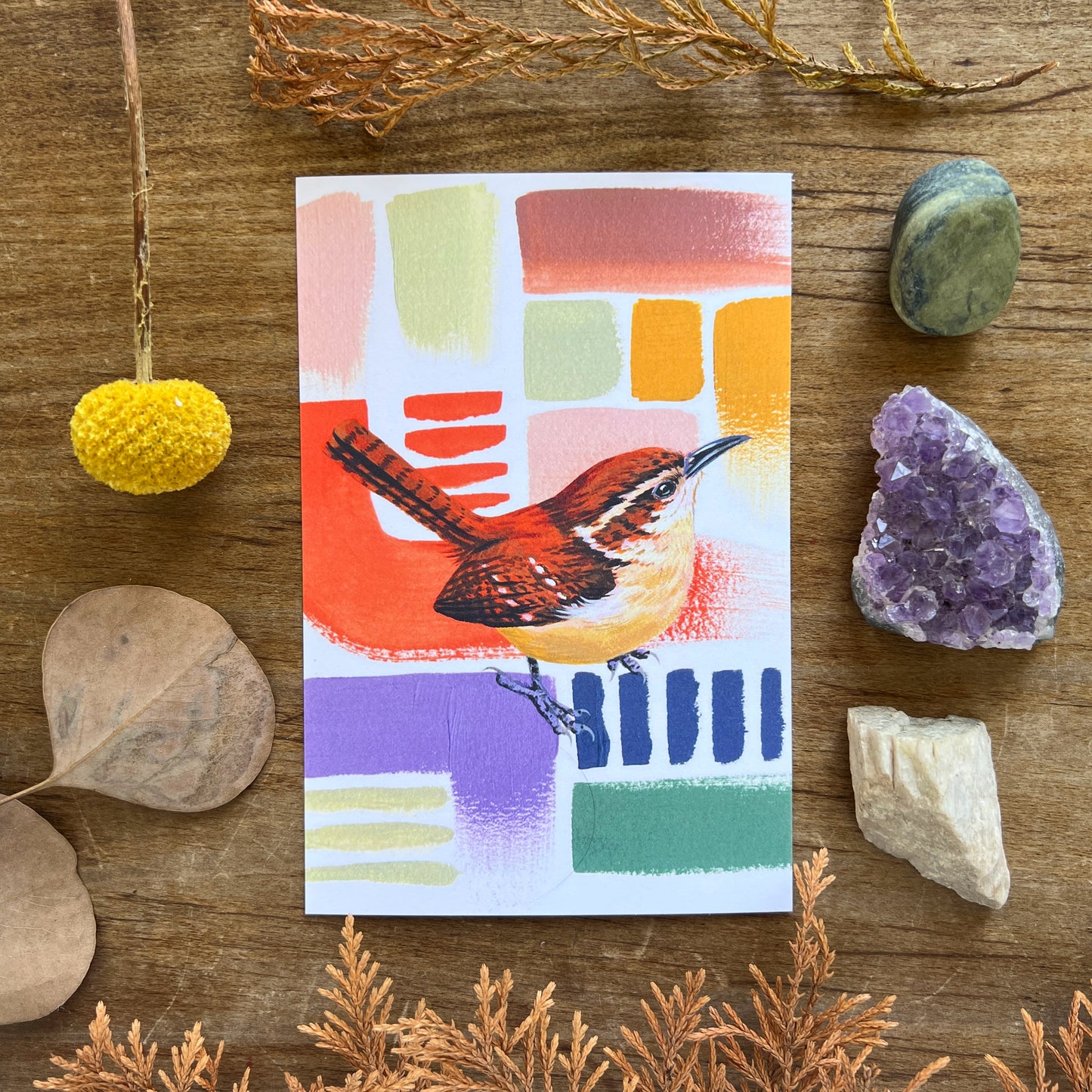 Colorful Wren | Postcard